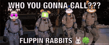Rabbits Flippin GIF - Rabbits Flippin Flippinrabbits GIFs