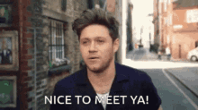 Nice To Meet Ya Hello There GIF - Nice To Meet Ya Hello There Niall Horan GIFs