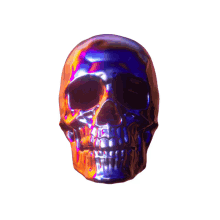 skull skeleton spooky eerie mysterious