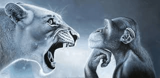 lionmonkey-rage-bait.png