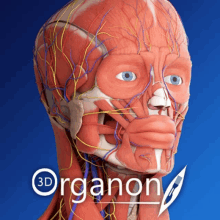 3d Organon GIF