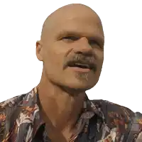 a bald man with a beard is wearing a shirt with flowers on it