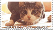 Stamp Cat GIF - Stamp Cat Wiggling GIFs