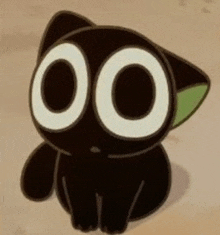 a black cat with large white eyes is sitting on the ground .