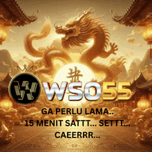 a poster with a dragon and the words wso55 on it