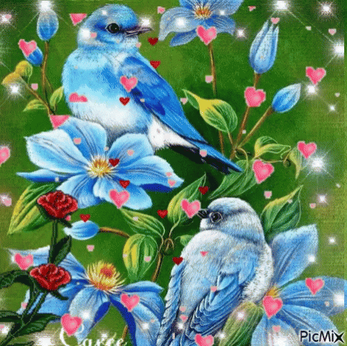 animated flowers and birds
