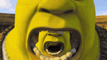 Shrek Noo GIF - Shrek Noo What GIFs