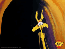 Coyote Stop In The Name Of Humanity GIF - Coyote Stop In The Name Of Humanity Looney Tunes GIFs