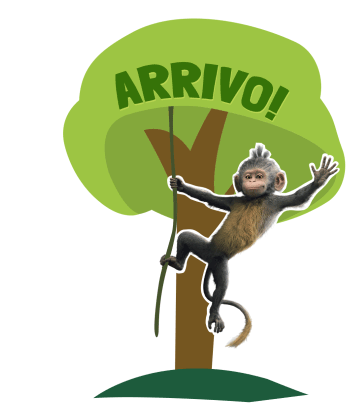 Arrivo Scimmia Sticker - Arrivo Scimmia Carina Stickers