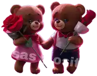 a boy and a girl teddy bear holding hands with sas on it