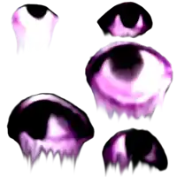 a bunch of purple and black eyes with a white background