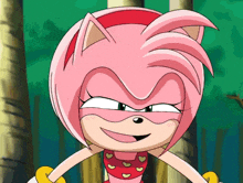 Amy Rose Sonic X GIF - Amy Rose Sonic X GIFs