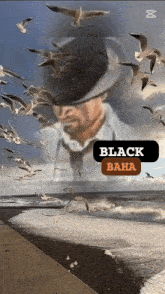 a man in a hat is surrounded by seagulls on a beach with the words black baha on the bottom