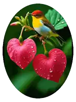 a bird perched on a heart shaped flower with water drops