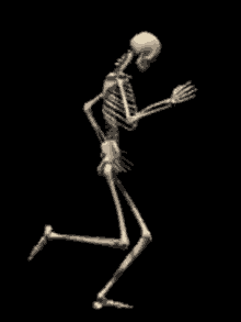 Trottin Skeleton GIF - Trottin Skeleton Strut GIFs