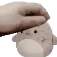 a hand is petting a stuffed animal with a shark face .