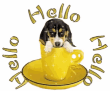Coffee Hello GIF - Coffee Hello Pp In A Cup GIFs