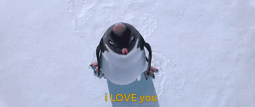 penguin i love you
