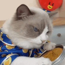 Licking The Candy Puff GIF - Licking The Candy Puff Meow Chef GIFs