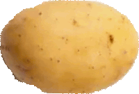 a potato with a lot of brown spots on it on a white background