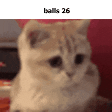 Balls 26 Balls Meme GIF