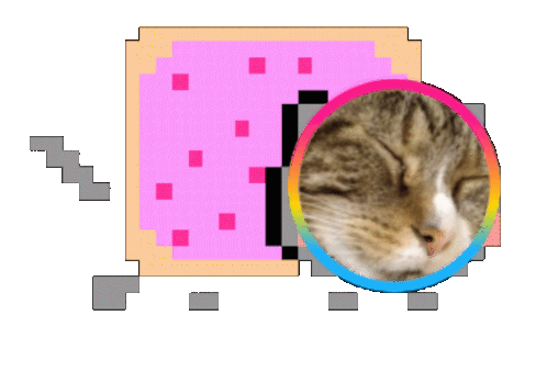 Nyan Cat's Transparent Gif, Nyan Cat