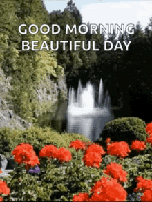 good morning beautiful day nature fountain