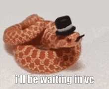 a snake wearing a top hat and a snowman nose is sitting on a table .