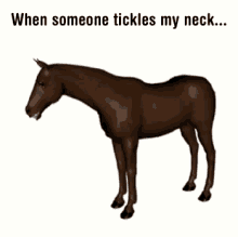 Same When Someone Tickles My Neck GIF - Same When Someone Tickles My Neck Horse GIFs