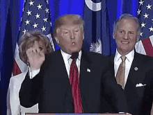 Donald Trump Point GIF - Donald Trump Point You GIFs