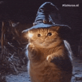 a cat wearing a witch hat holds a sparkler