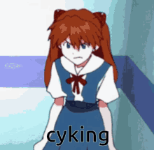 Asuka Evangelion GIF - Asuka Evangelion Cyking GIFs