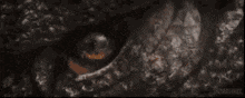 a close up of a person 's eye in the dark .