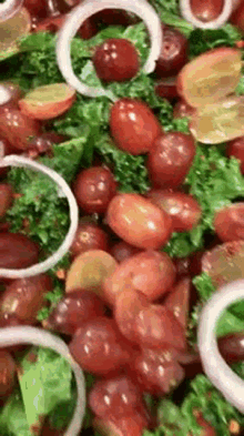 Salada De Uva Cozinha GIF - Salada De Uva Cozinha Chefe GIFs