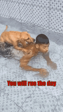 Rue The Day GIF
