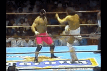 Fight Me GIF - Fight Me Luchar GIFs