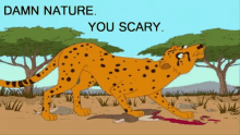 Nature Scary GIF - Nature Scary GIFs