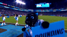 Carolina Panthers Sir Purr GIF - Carolina Panthers Sir Purr Dancing GIFs