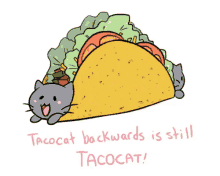Funny Meme Taco Cat GIF - Funny Meme Taco Cat Taco Day GIFs