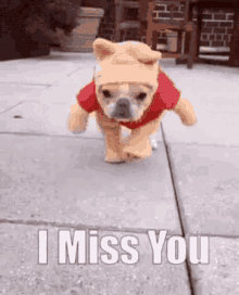 Youre Cute Love You GIF - Youre Cute Love You I Miss You GIFs