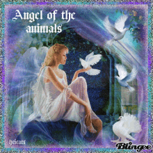 Angels Of The Animals Bird GIF