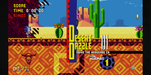Desert Dazzle GIF - Desert Dazzle GIFs