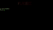 a black screen with red text that says flagsec on it