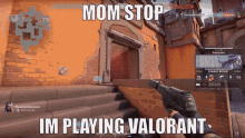 Mom Stop Im Playing Valorant Valorant GIF