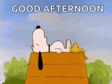 Good Afternoon GIF - Good Afternoon Peanuts GIFs