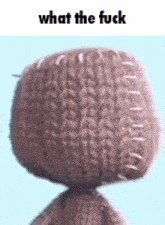 Wtf What The Fuck GIF - Wtf What The Fuck Sackboy GIFs