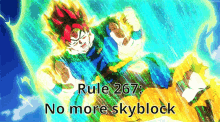 Goku No More Skyblock GIF - Goku No More Skyblock Rule GIFs