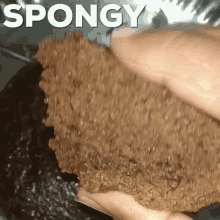 So Soft Sponge GIF - So Soft Sponge Chocolate GIFs