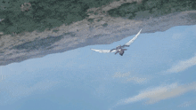 a girl with wings is flying with a white cat on her back