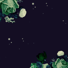 a purple background with green roses and the words " i 'm sorry " in white letters